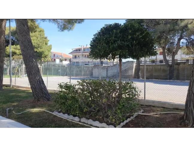 Anteprima foto 5 - Affitto Casa Vacanze da Privato a Santa Maria del Cedro (Cosenza)