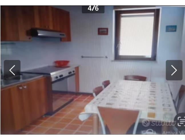 Anteprima foto 8 - Affitto Casa Vacanze da Privato a Santa Maria del Cedro (Cosenza)