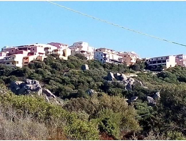 Anteprima foto 7 - Affitto Casa Vacanze da Privato a Santa Teresa Gallura - San Pasquale