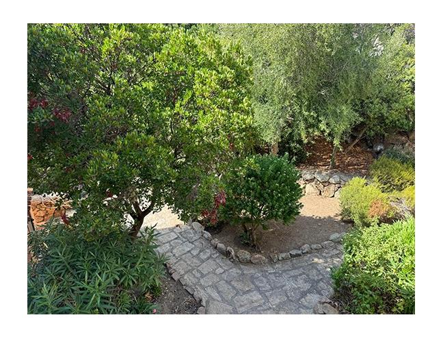 Anteprima foto 8 - Affitto Casa Vacanze da Privato a Santa Teresa Gallura (Sassari)