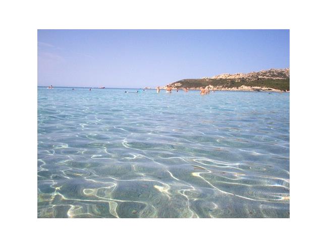 Anteprima foto 8 - Affitto Casa Vacanze da Privato a Santa Teresa Gallura (Sassari)