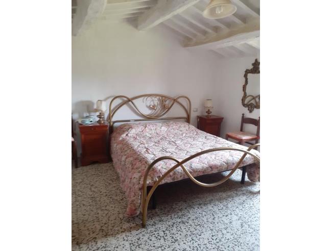Anteprima foto 2 - Affitto Casa Vacanze da Privato a Scansano - Murci