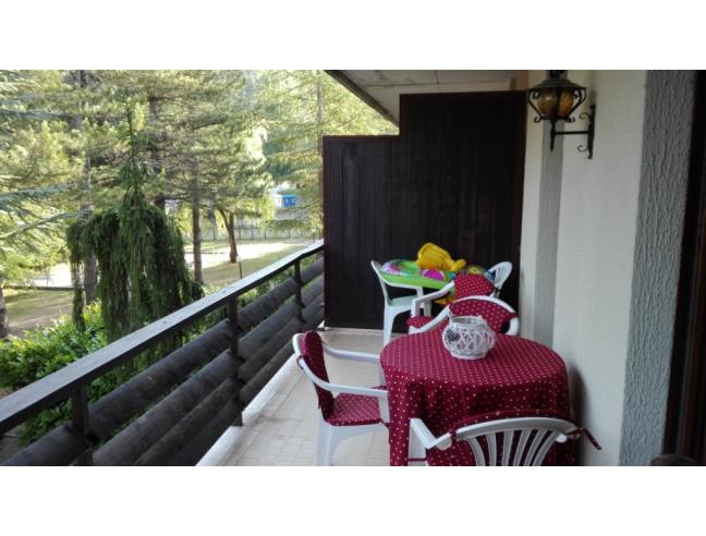 Anteprima foto 4 - Affitto Casa Vacanze da Privato a Spezzano della Sila - Camigliatello Silano