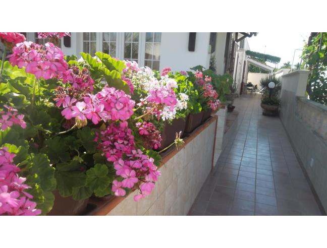 Anteprima foto 8 - Affitto Casa Vacanze da Privato a Taviano - Marina Di Mancaversa