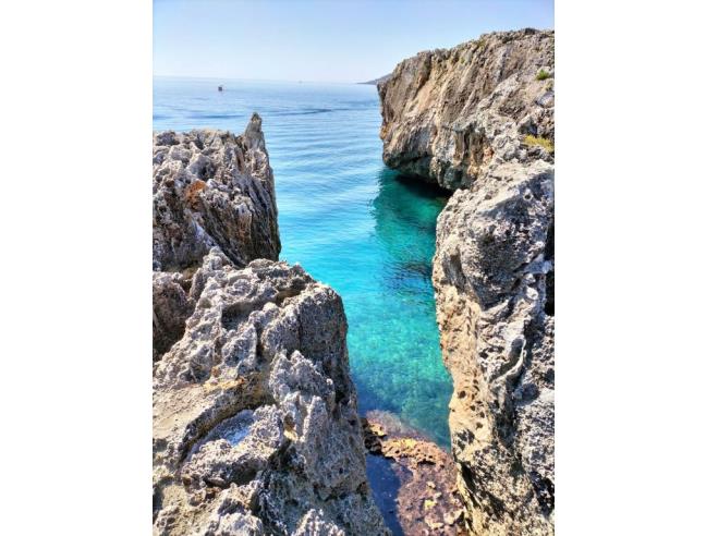 Anteprima foto 7 - Affitto Casa Vacanze da Privato a Tricase - La Serra