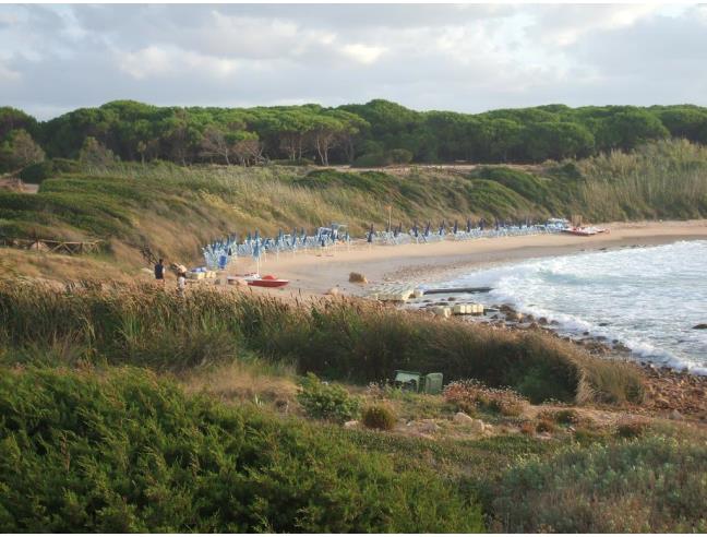 Anteprima foto 3 - Affitto Casa Vacanze da Privato a Trinità d'Agultu e Vignola - Costa Paradiso