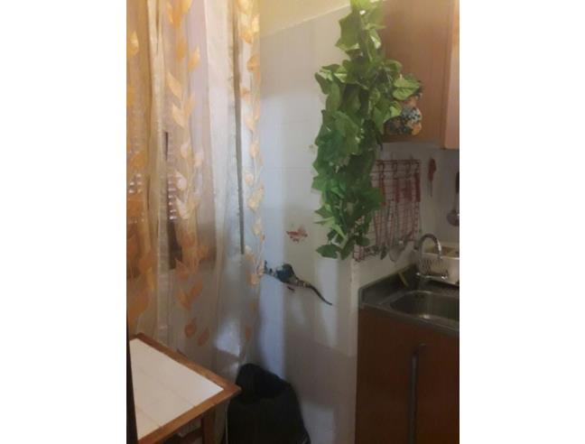 Anteprima foto 1 - Affitto Casa Vacanze da Privato a Tropea (Vibo Valentia)