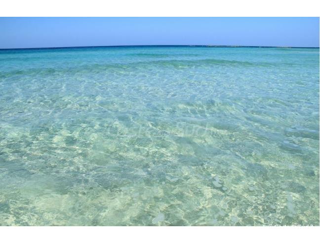 Anteprima foto 7 - Affitto Casa Vacanze da Privato a Ugento - Lido Marini