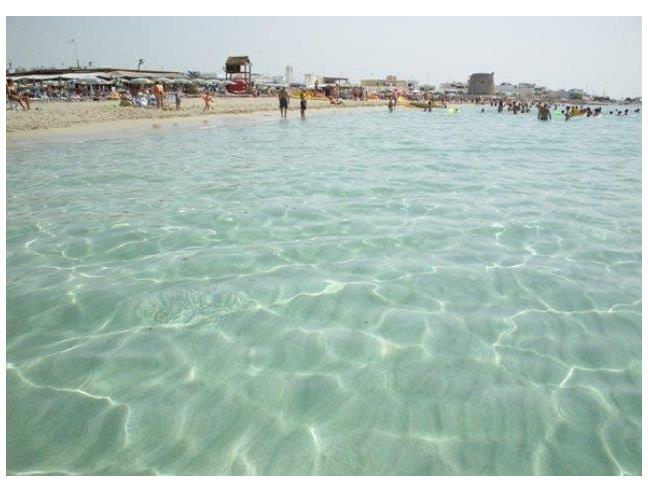 Anteprima foto 8 - Affitto Casa Vacanze da Privato a Ugento - Torre Mozza