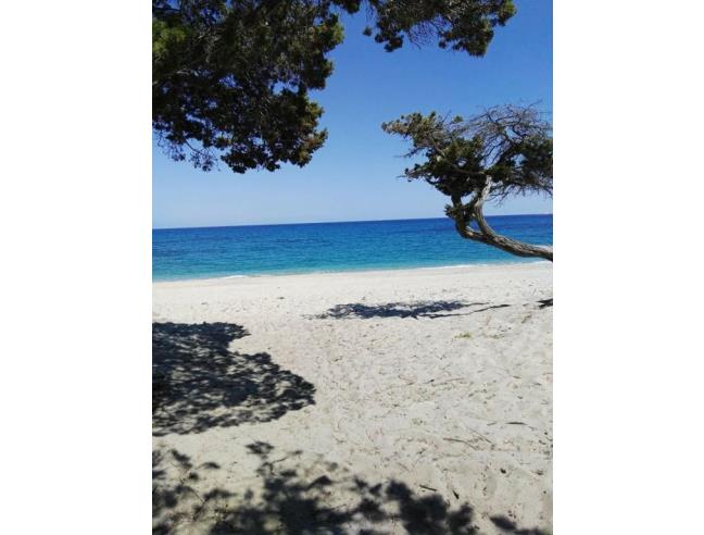 Anteprima foto 7 - Affitto Casa Vacanze da Privato a Villaputzu (Sud Sardegna)