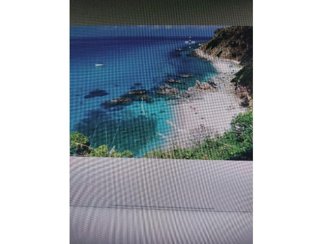 Anteprima foto 7 - Affitto Casa Vacanze da Privato a Zambrone (Vibo Valentia)