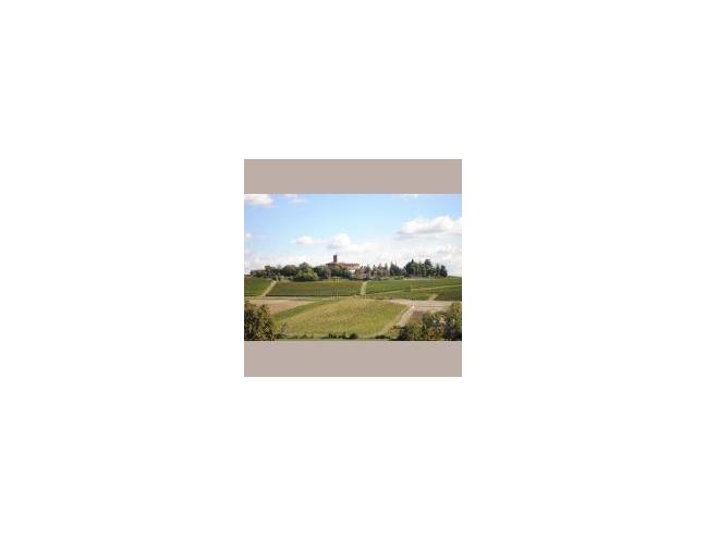 Anteprima foto 1 - Affitto Castello Vacanze da Privato a Rosignano Monferrato (Alessandria)