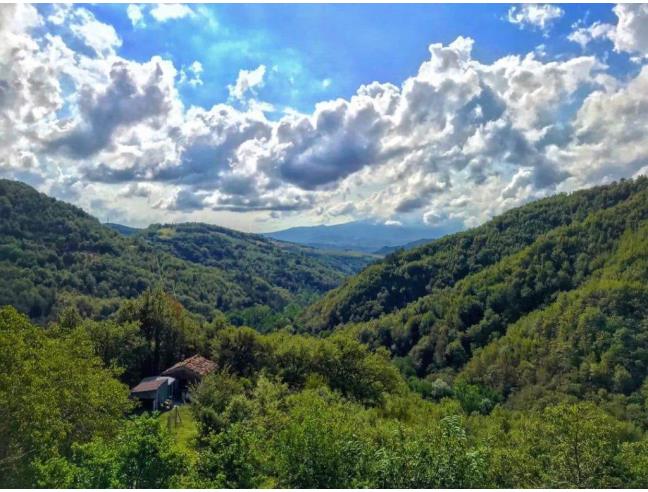 Anteprima foto 1 - Affitto Dimora tipica Vacanze da Privato a Comunanza (Ascoli Piceno)