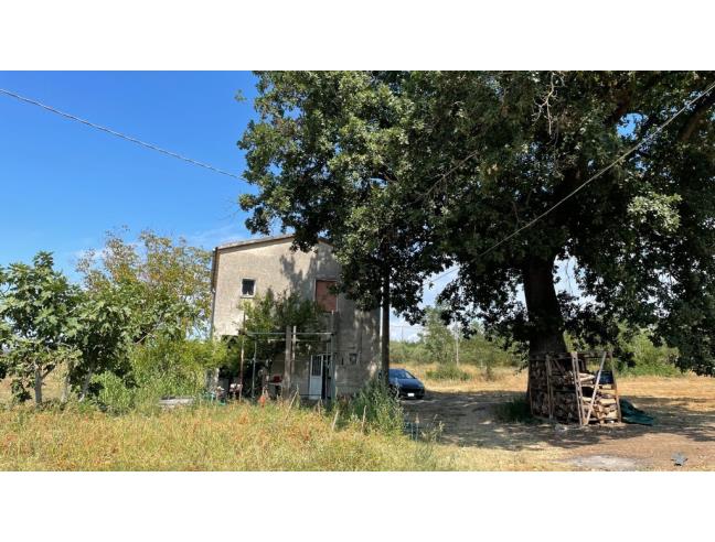 Anteprima foto 5 - Affitto Dimora tipica Vacanze da Privato a Dugenta (Benevento)