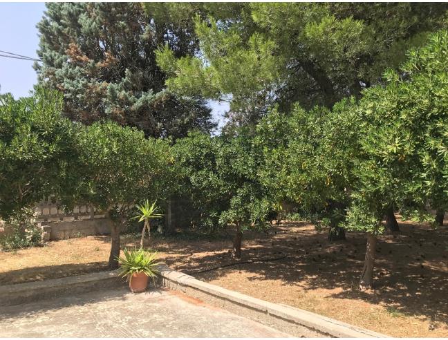 Anteprima foto 2 - Affitto Dimora tipica Vacanze da Privato a Galatina (Lecce)