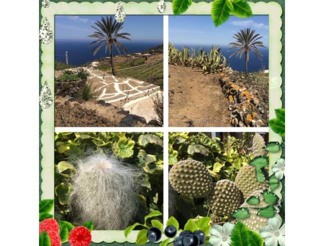Anteprima foto 3 - Affitto Dimora tipica Vacanze da Privato a Pantelleria - Khamma