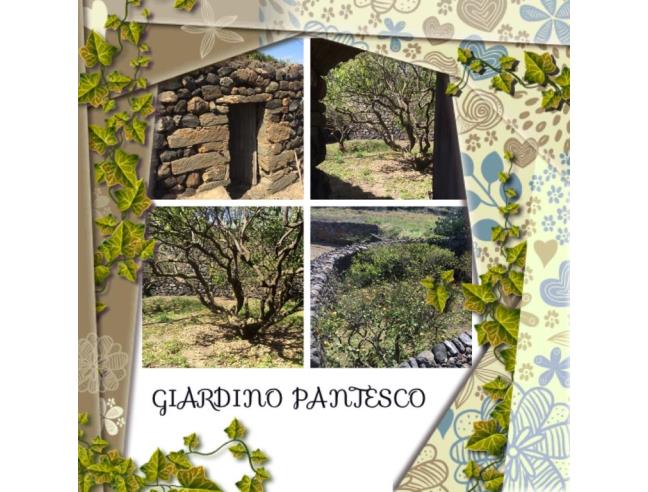 Anteprima foto 8 - Affitto Dimora tipica Vacanze da Privato a Pantelleria - Khamma