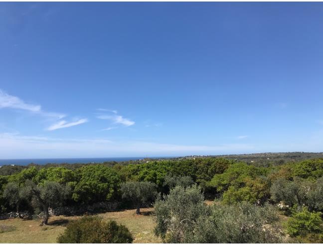 Anteprima foto 2 - Affitto Dimora tipica Vacanze da Privato a Salve - Marina Di Pescoluse