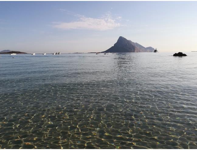 Anteprima foto 3 - Affitto Dimora tipica Vacanze da Privato a San Teodoro - Lu Fraili Di Sotto