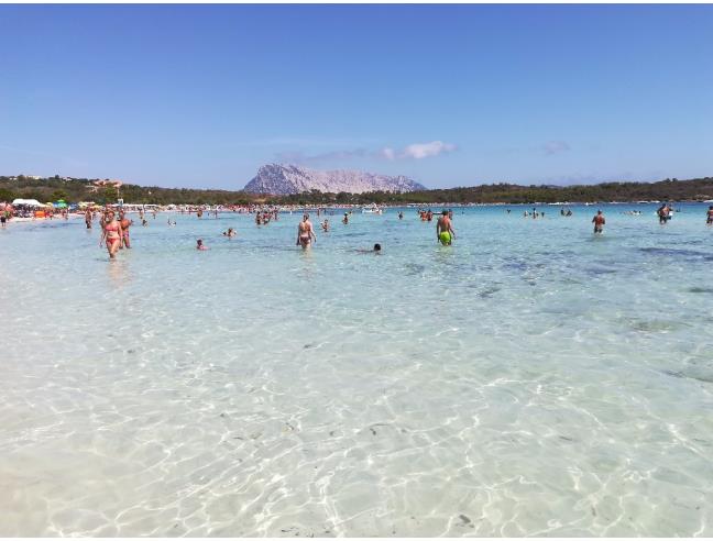 Anteprima foto 4 - Affitto Dimora tipica Vacanze da Privato a San Teodoro - Lu Fraili Di Sotto