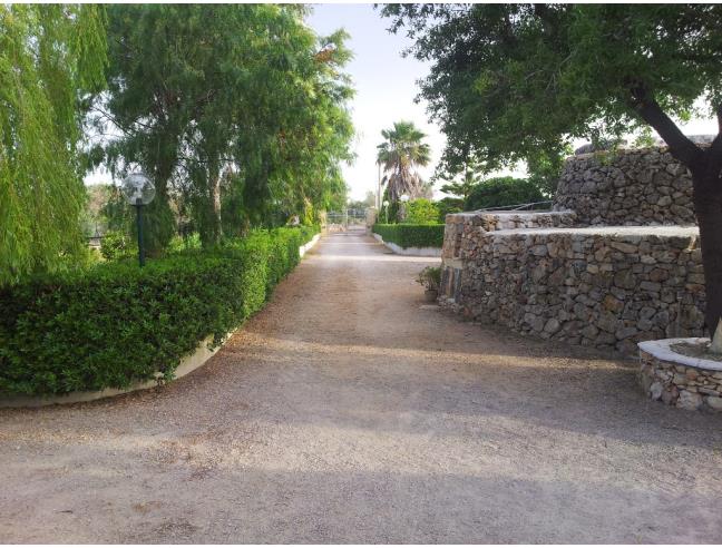 Anteprima foto 8 - Affitto Dimora tipica Vacanze da Privato a Tuglie (Lecce)