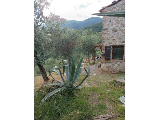 Anteprima foto 6 - Affitto Rustico/Casale Vacanze da Privato a Buti (Pisa)