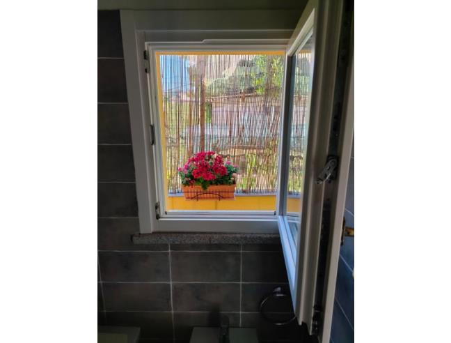 Anteprima foto 4 - Affitto Rustico/Casale Vacanze da Privato a Campo nell'Elba - Marina Di Campo