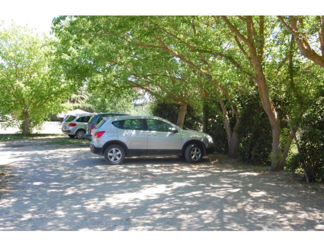 Anteprima foto 6 - Affitto Rustico/Casale Vacanze da Privato a Campo nell'Elba - Marina Di Campo