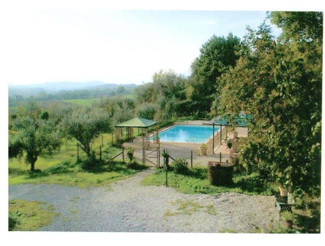 Anteprima foto 2 - Affitto Rustico/Casale Vacanze da Privato a Capannori - Camigliano