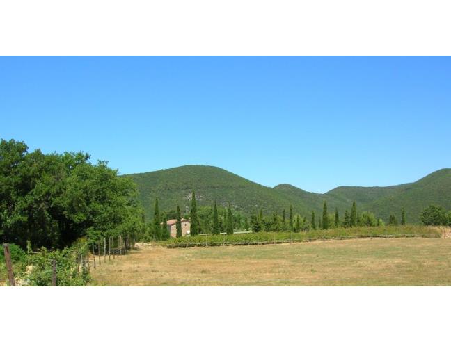 Anteprima foto 6 - Affitto Rustico/Casale Vacanze da Privato a Castellina Marittima (Pisa)