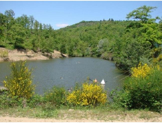 Anteprima foto 6 - Affitto Rustico/Casale Vacanze da Privato a Civitella in Val di Chiana (Arezzo)