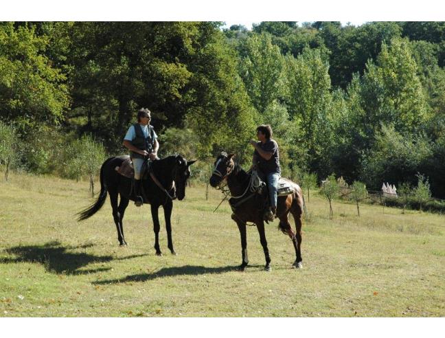 Anteprima foto 7 - Affitto Rustico/Casale Vacanze da Privato a Collazzone - Casalalta
