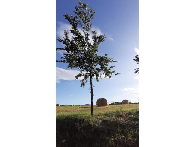 Anteprima foto 2 - Affitto Rustico/Casale Vacanze da Privato a Fornovo di Taro (Parma)