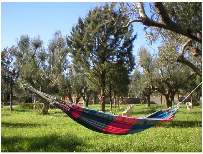 Anteprima foto 8 - Affitto Rustico/Casale Vacanze da Privato a Galatone (Lecce)