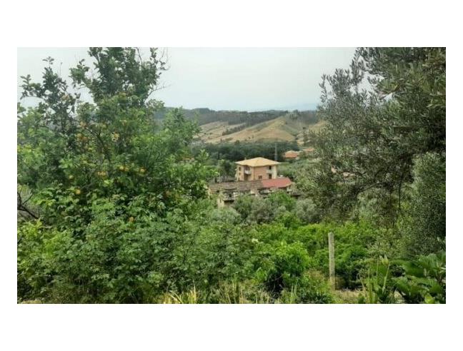 Anteprima foto 2 - Affitto Rustico/Casale Vacanze da Privato a Gioiosa Ionica (Reggio Calabria)