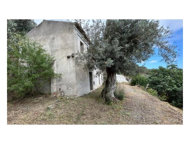 Anteprima foto 3 - Affitto Rustico/Casale Vacanze da Privato a Gioiosa Ionica (Reggio Calabria)