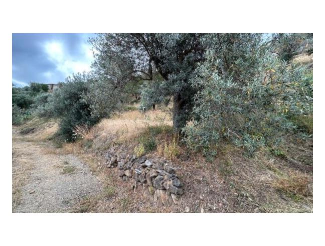 Anteprima foto 6 - Affitto Rustico/Casale Vacanze da Privato a Gioiosa Ionica (Reggio Calabria)