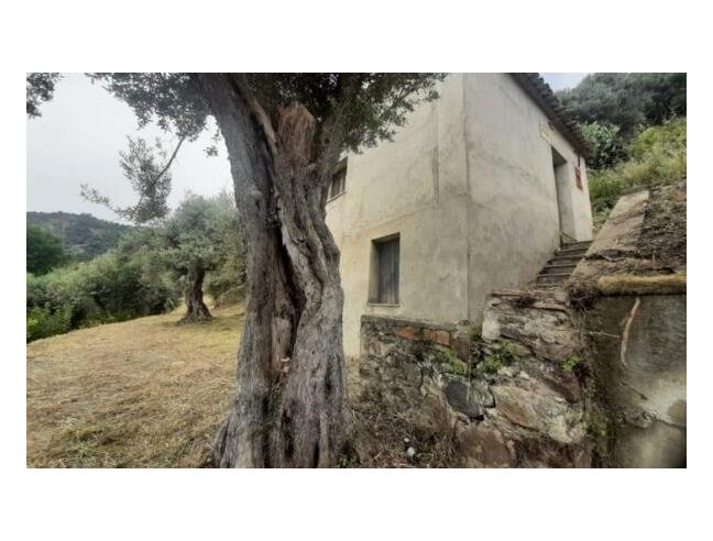 Anteprima foto 7 - Affitto Rustico/Casale Vacanze da Privato a Gioiosa Ionica (Reggio Calabria)