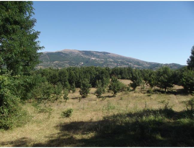 Anteprima foto 3 - Affitto Rustico/Casale Vacanze da Privato a Isernia (Isernia)