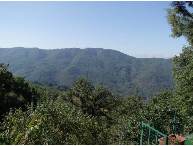 Anteprima foto 1 - Affitto Rustico/Casale Vacanze da Privato a Londa - Vierle