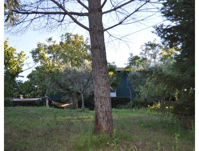 Anteprima foto 7 - Affitto Rustico/Casale Vacanze da Privato a Monteprandone (Ascoli Piceno)