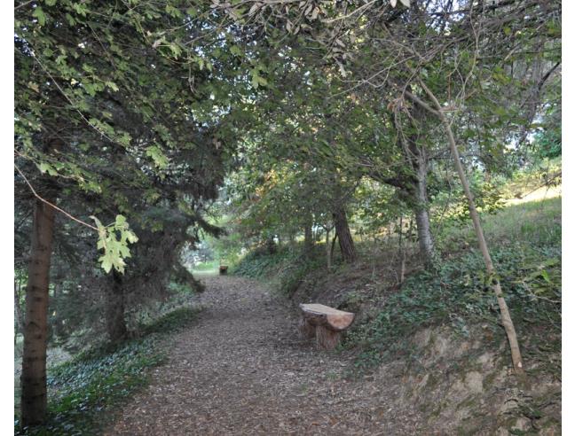 Anteprima foto 8 - Affitto Rustico/Casale Vacanze da Privato a Monteprandone (Ascoli Piceno)