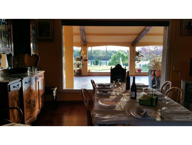 Anteprima foto 6 - Affitto Rustico/Casale Vacanze da Privato a Orvieto - Orvieto Scalo