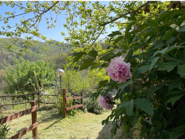 Anteprima foto 8 - Affitto Rustico/Casale Vacanze da Privato a Prasco (Alessandria)