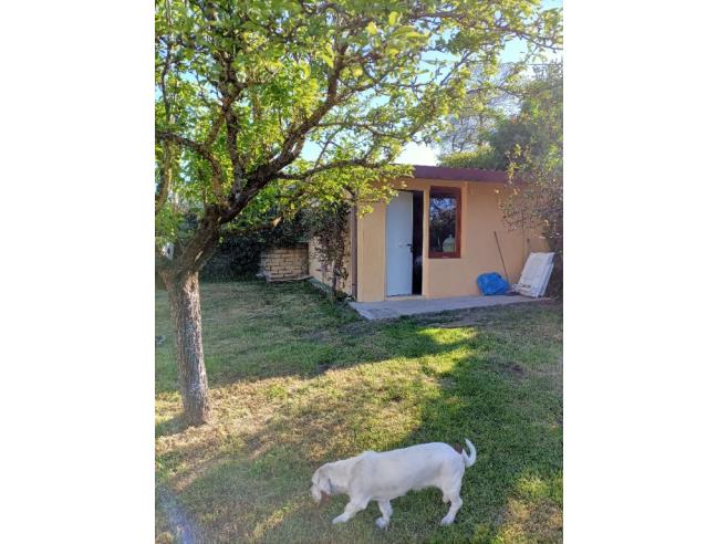 Anteprima foto 4 - Affitto Rustico/Casale Vacanze da Privato a Rocca Priora (Roma)