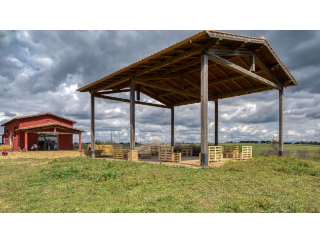 Anteprima foto 7 - Affitto Rustico/Casale Vacanze da Privato a Roma - Cassia