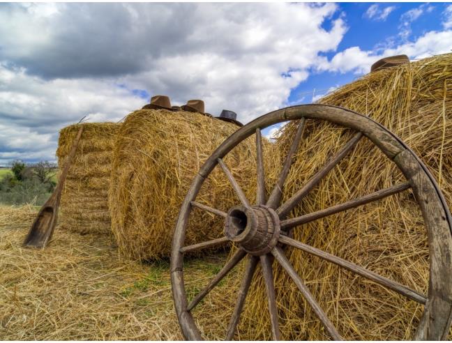 Anteprima foto 8 - Affitto Rustico/Casale Vacanze da Privato a Roma - Cassia
