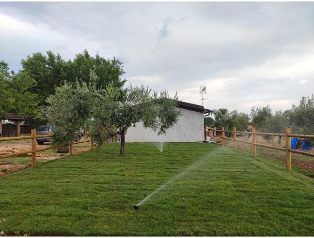 Anteprima foto 4 - Affitto Rustico/Casale Vacanze da Privato a Sabaudia (Latina)