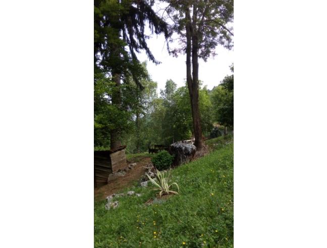 Anteprima foto 6 - Affitto Rustico/Casale Vacanze da Privato a San Giovanni Bianco - San Pietro D'orzio