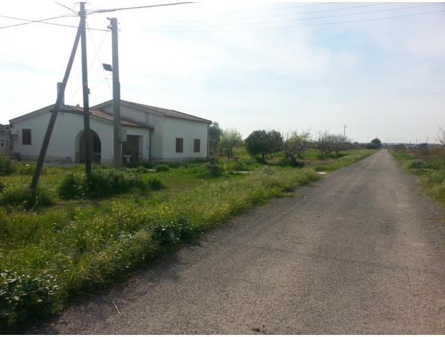 Anteprima foto 8 - Affitto Rustico/Casale Vacanze da Privato a Scanzano Jonico - Terzo Cavone